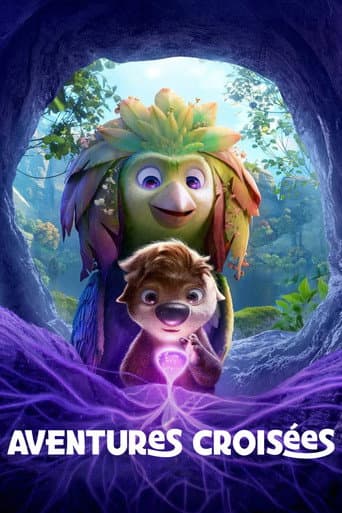 Affiche du film Aventures croisées